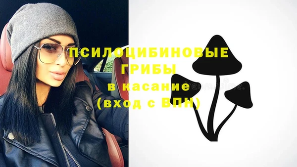 марки nbome Белокуриха