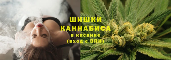 МДПВ Богданович