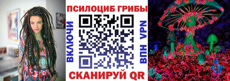 Псилоцибиновые грибы ЛСД  shop наркотические препараты  Выборг 